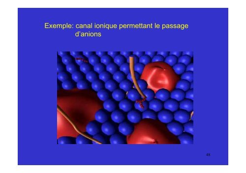 membrane plasmique - Poly-Prepas