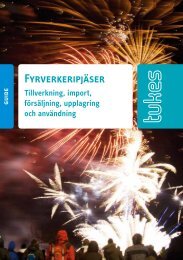 Fyrverkeripjäser - Tukes