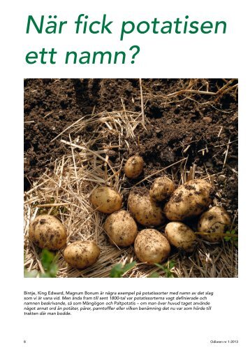 Potatisen och dess namn (pdf) - Fobo