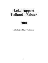 Lolland - Falster rapport 2001 - DOF Storstrøm