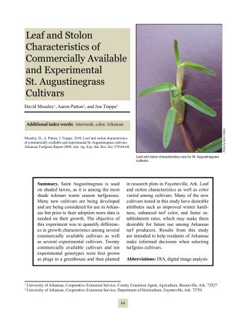 Leaf and Stolon Characteristics of Commercially Available and ...