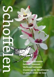 Scho≠elen Zaaien en uitzaaien Eetbare bloemen Verticaal ...