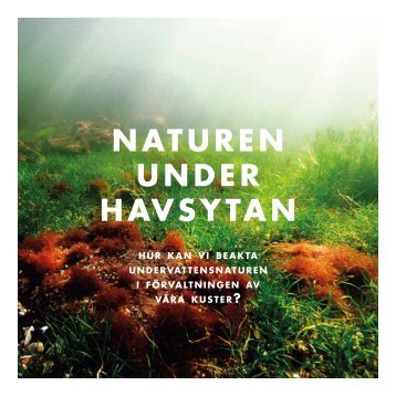 NATUREN UNDER HAVSYTAN