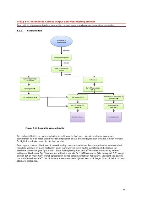 hart en vaten leerlingenreader - CLZ vaklokalen