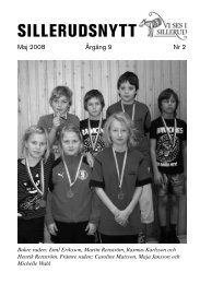 träffa tjejer i sillerud