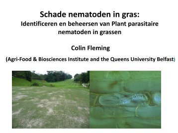 Schade nematoden in gras: - graszaad.info