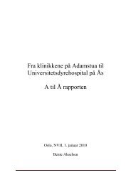 Fra klinikkene på Adamstua til Universitetsdyrehospital på Ås A til Å ...