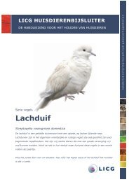 Download de huisdierenbijsluiter Lachduif - LICG