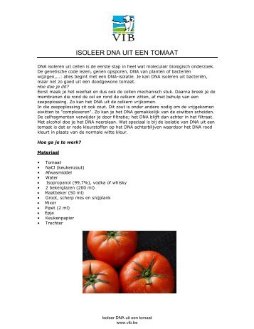 Protocol DNA-isolatie uit tomaat - VIB