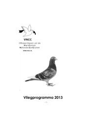 VNCC Vliegprogramma 2013 - RekenCentrum Berg en Dal