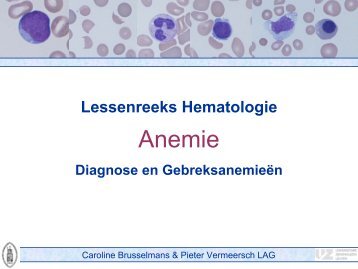 Anemie: diagnose en gebreksanemieën - UZ Leuven