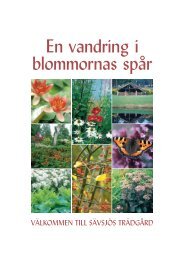 Blomfolder - Sävsjö kommun