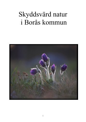 Skyddsvärd natur i Borås.pdf