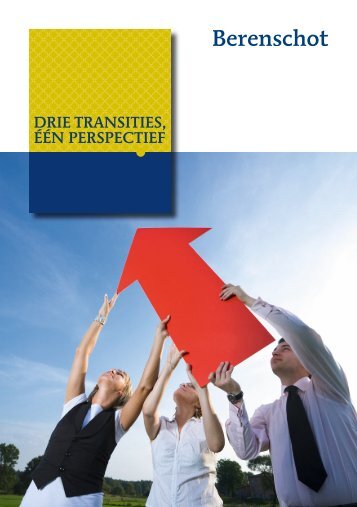 Leaflet 'Drie transities één perspectief' - Berenschot