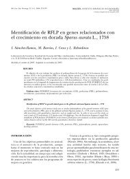 Identificación de RFLP en genes relacionados con el crecimiento en ...