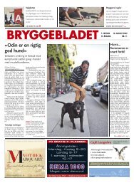 Nr. 11-2009 - Bryggebladet