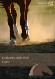 Beschutting op de weide - Vlaams Paardenloket