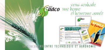 vous souhaite une bonne et heureuse année - Cadco