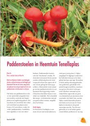 Paddenstoelen in Heemtuin Tenellaplas - Stichting Oase