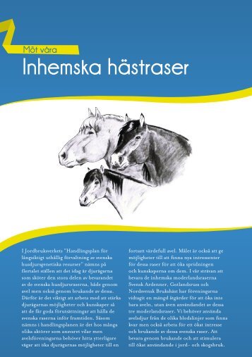 Inhemska hästraser - iFokus