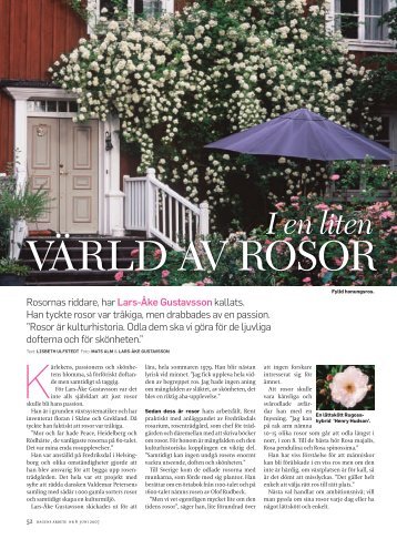 VÄRLD AV ROSOR - Dagens Arbete