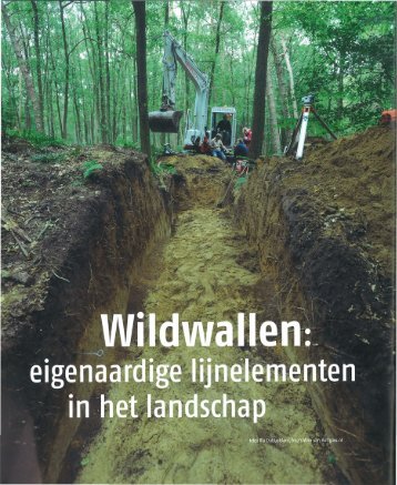 Wildwallen: eigenaardige lijnelementen in het ... - Stichting Probos