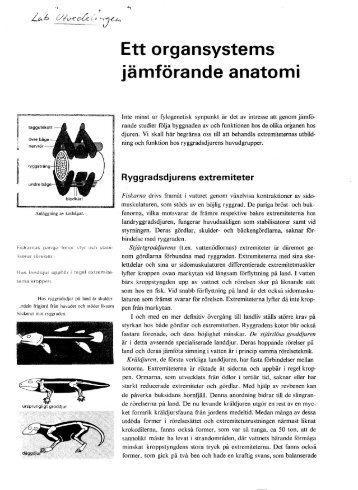 jämförande anatomi - Netkurs