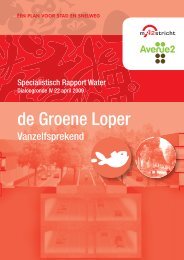 Specialistisch rapport Water (16,11 MB) - A2 Maastricht