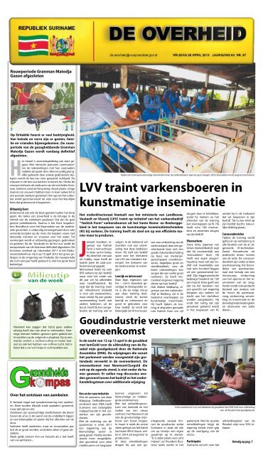 LVV traint varkensboeren in kunstmatige inseminatie - Gov.sr
