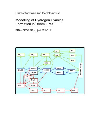 Modelling of Hydrogen Cyanide Formation in Room Fires