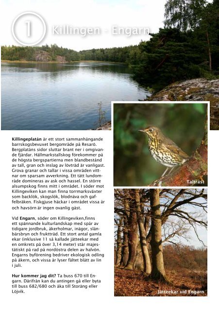 Upptäck naturen i Vaxholm - Naturskyddsföreningen