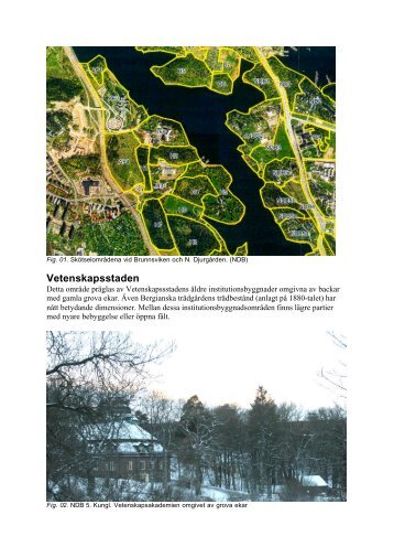 Del III Vetenskapsstaden