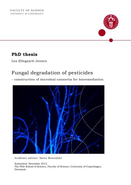 Fungal degradation of pesticides