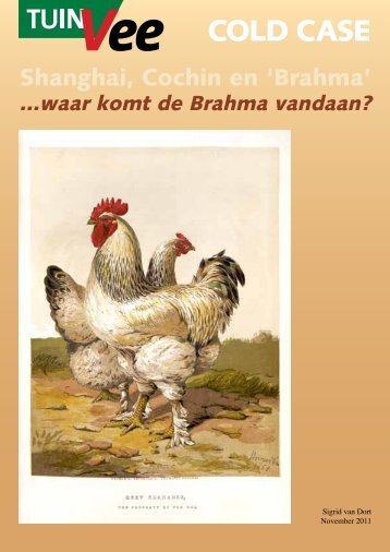 Brahma - Tuinvee