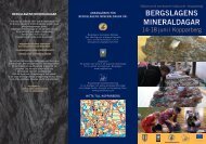 BERGSLAGENS MINERALDAGAR - GeoNord