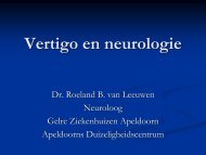 Vertigo en neurologie - hermankingma.com