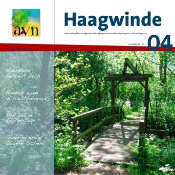 Haagwinde 4 - AVN