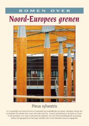 Noord-Europees grenen - Houtdatabase