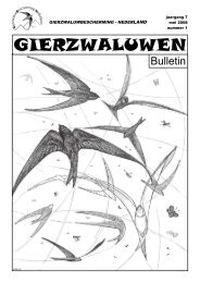 Gierzwaluwen-bulletin 2008-1 - GierzwaluwBescherming Nederland