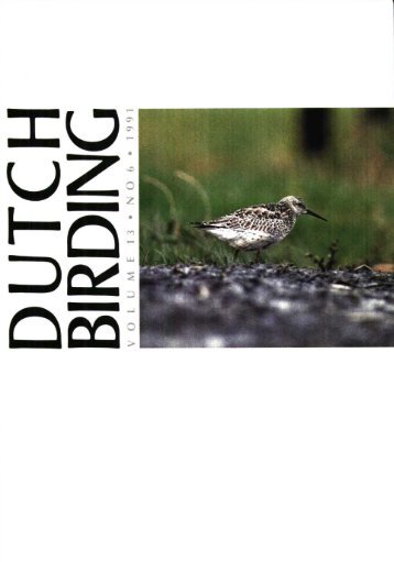 1 - Dutch Birding