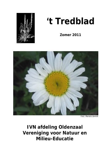 2011 Tredblad zomer.pdf - Ivn