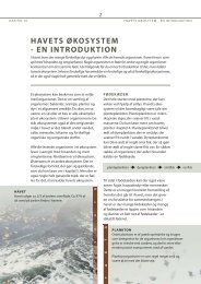 Havets økosystem - en introduktion (pdf) - Fiskericirklen