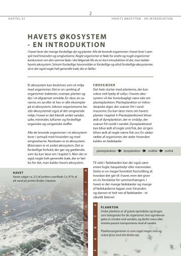Havets økosystem - en introduktion (pdf) - Fiskericirklen