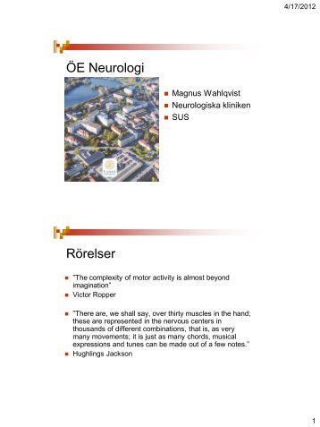 neurologläkaren Magnus Wahlqvists presentation om neuroanatomi ...