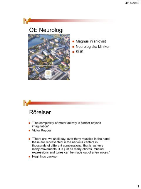 neurologläkaren Magnus Wahlqvists presentation om neuroanatomi ...