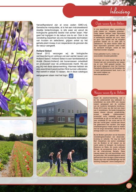 Download PDF (15.938,42 Kb) - De Bolster