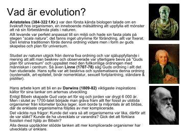 Evolution 3 - BIG