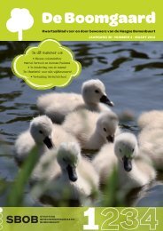 De Boomgaard_2012_01 - Bomenbuurtonline.nl
