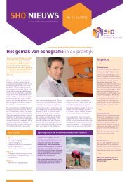 pdf van de nieuwsbrief - SHO