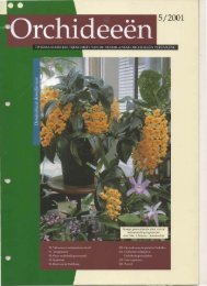 2001 - 5 - Orchideeën Vereniging Vlaanderen